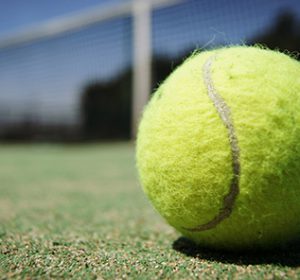 Tennisball1 Tennisball1